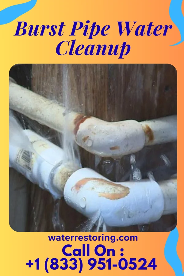 Burst Pipe Water Cleanup in Coffeyville, KS